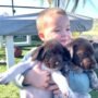 GSP FOR SALE